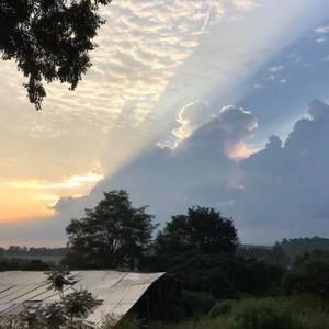 Meet your Posher, Pamela